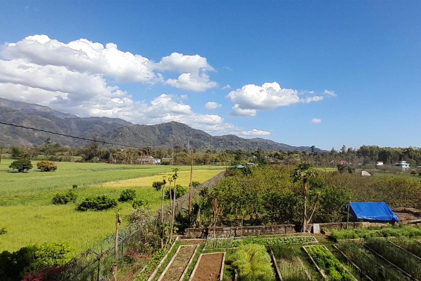 Forest Side Farm - Homestay At Kotabagh Near Nainital And Jim Corbett 外观 照片